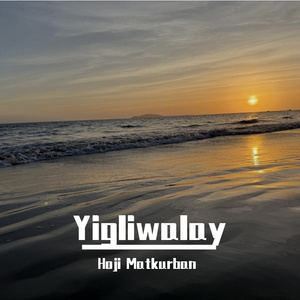 无码视频免费一区二三区
