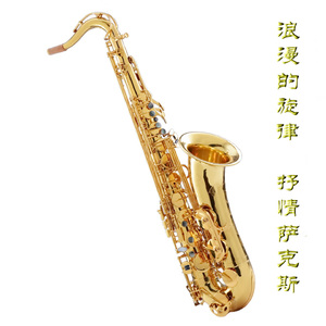 无码视频免费一区二三区
