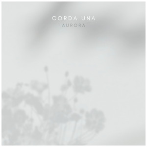 无码视频免费一区二三区
