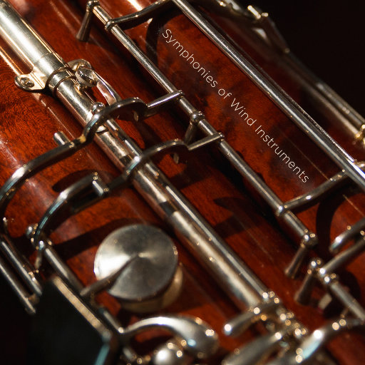 无码视频免费一区二三区
